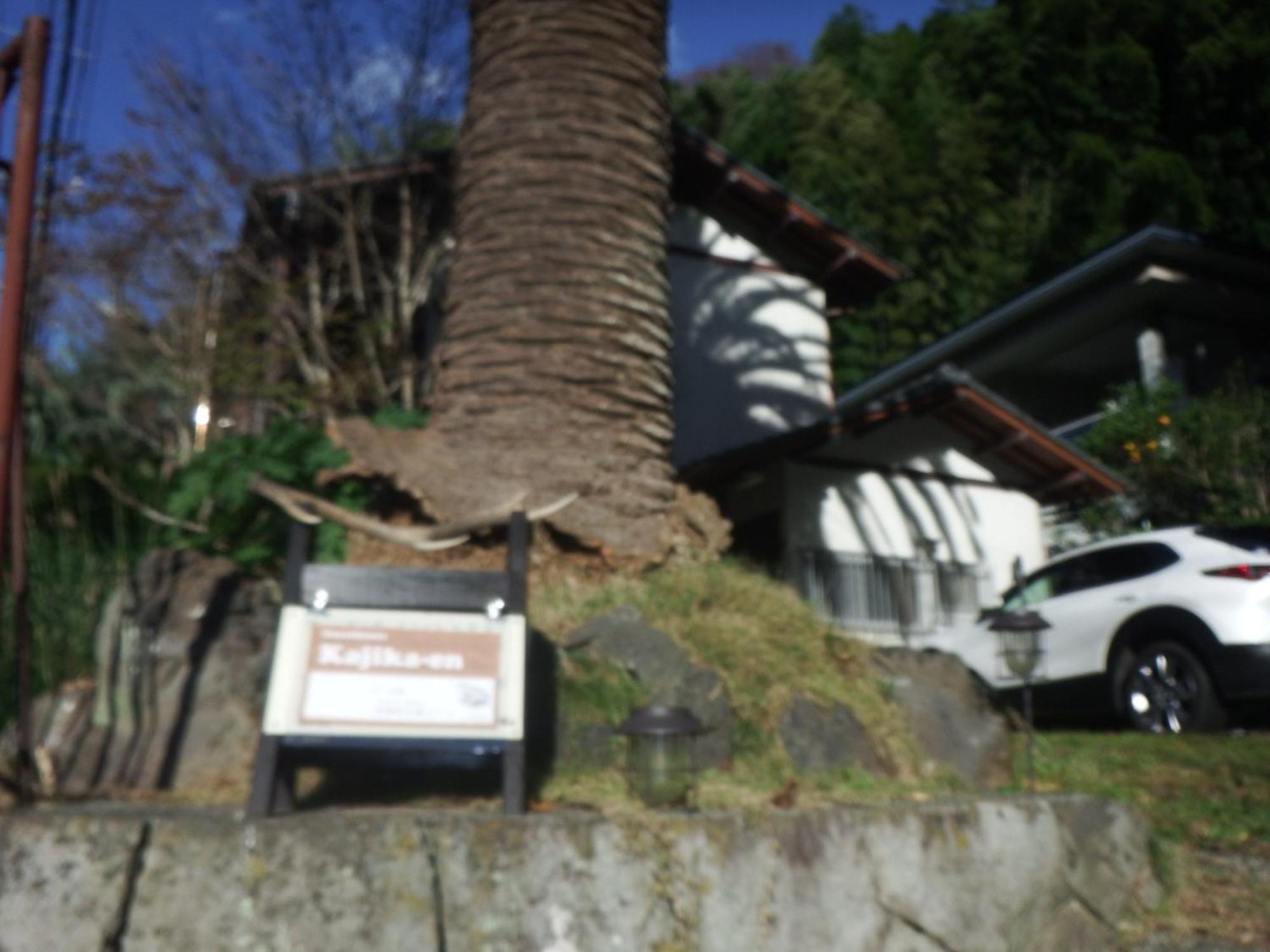 Kajikaen - Vacation Stay 57948V Kawazu Eksteriør billede